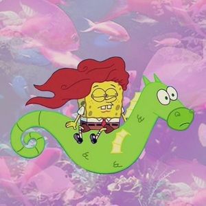 Meet your Posher, Hailey